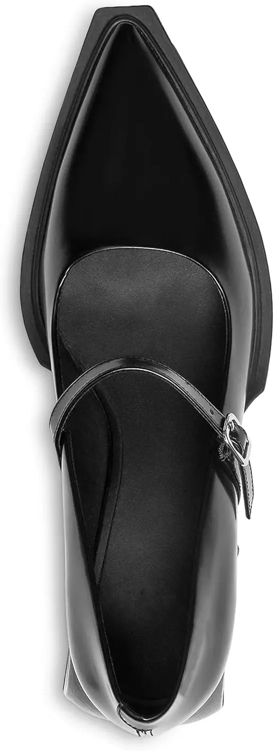 Wide Welt Mary Jane Pumps for Women Pointed Toe Buckle Strap Mary Janes Chunky Heeled Flats Comfort Casual Block Heel Shoes