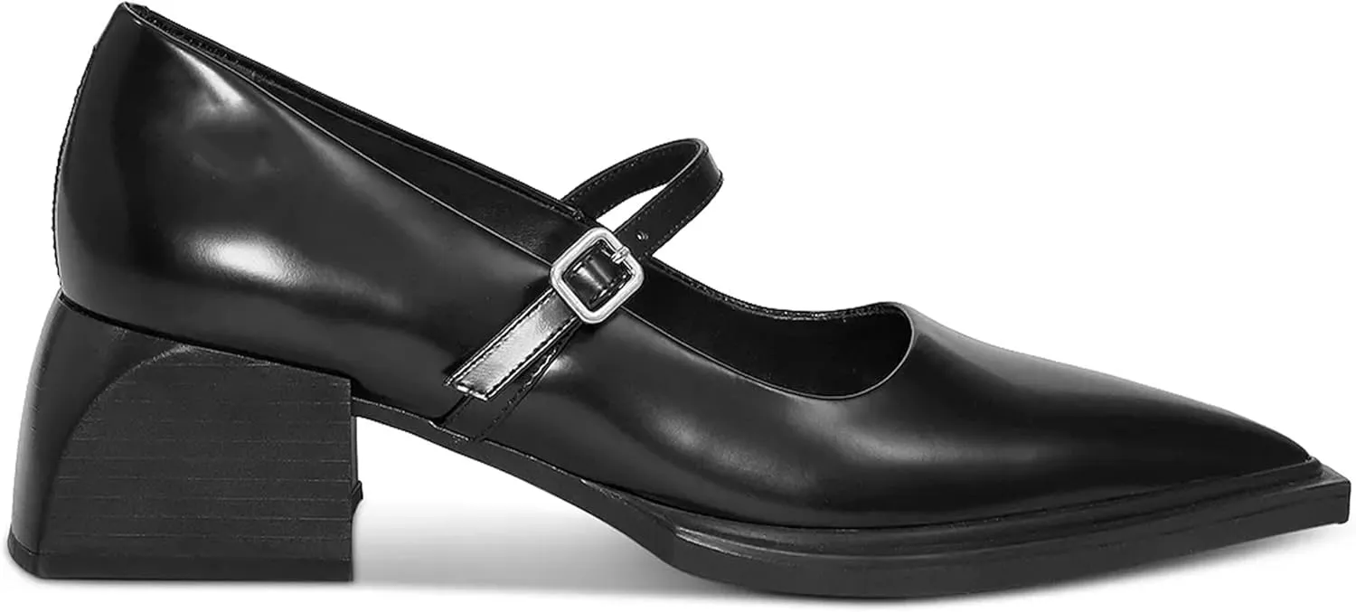 Wide Welt Mary Jane Pumps for Women Pointed Toe Buckle Strap Mary Janes Chunky Heeled Flats Comfort Casual Block Heel Shoes